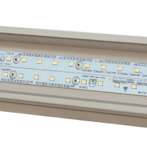 Взрывозащищенный светодиодный светильник LONG-Ex-80 L1,2