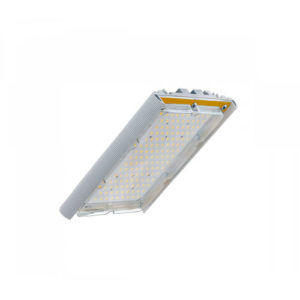 Взрывозащищенный светильник Diora Unit 2Ex 30/4500 Д 5K лира